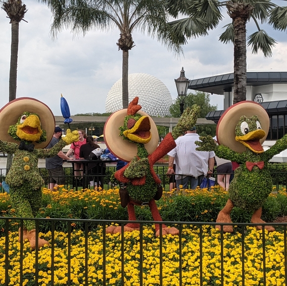 Meet your Posher, Amelia - Picture 7 of 14